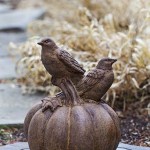 Birds on pumpkin
