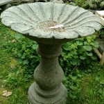 Bird bath